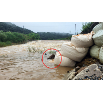 광주·전남 ‘여름철 기록적 폭우’ 선제 대응 나선다