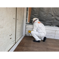 광주 서부소방서, 벌 쏘임 주의 당부 나서