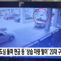 대전 도심 돌며 '상습 차량털이' 20대 구속