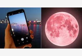 오늘(24일) 밤 뜨는 '스트로베리문' 아이폰으로 더 선명하게 찍는 방법