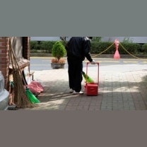 풀 베기, 도색 시킨 것도 모자라... 60대 경비원에게 갑질·폭행한 아파...