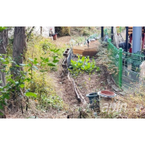 광주 남구, 허가 없이 경작한 아파트 텃밭 원상복구 명령