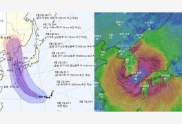 '태풍 10호 하이선' 한·중·일 기상청 한반도 관통 예상에 '초비상'… 윈디닷...