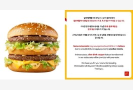 "양상추 빼고 음료 제공" 맥도날드 햄버거서 사라진 양상추