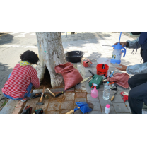 광주나무병원, 병해충방제 외과수술 등 나무전문병원 역할 톡톡