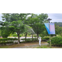 광주나무병원, 미국흰불나방 등 수목 병해충 방제 '구슬땀'