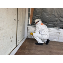 광주 서부소방, 벌 쏘임 주의 당부