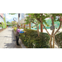 광주나무병원, 아파트·일선 학교 대상 수목실태 조사