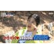 [구해줘 홈즈] 