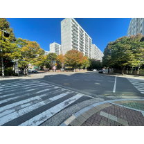 천곡 아파트 정문 앞 횡단보도 설치민원 빗발