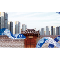 정치리스크에 재건축·재개발시장 스텝 꼬였다