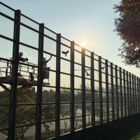 인천 아파트 투명방음벽에 새 충돌 年 200마리 죽음...이를 막을 예산 늘...