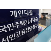 수도권 아파트 대상 디딤돌대출 한도 다음달부터 축소... 신생아특례 제...