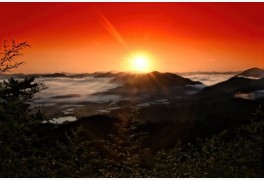CNN, '한국 아름다운 50곳' 옥천 '용암사'...구름사이 산봉우리 일출 장관