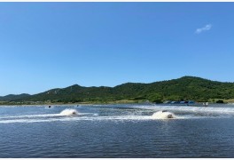 신안군, 오감만족 퍼플섬 '섬 왕새우 축제' 개최