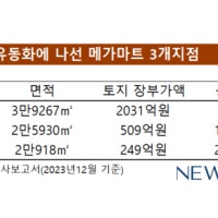 지점 유동화 나선 메가마트, 계열 분리 밟을까
