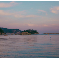 에디터가 사랑하는 부산의 맛 총집합