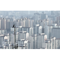 지방 광역시 아파트, 수요자 마음 사로잡은 비결은 '인프라'