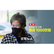 '목포 투기 의혹' 손혜원, 벌금 1000만원 확정?부패방지법 위반은 무죄