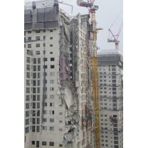 새해에는 평범한 일상 속에서 안전하게 살고 싶다