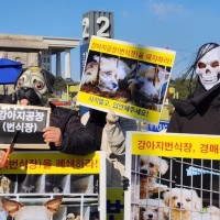한국동물보호연합 “불