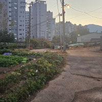 울산 울주군 천전사거리∼읍성로 삼거리 도로 개설 추진