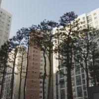 수도권-지방 아파트 경매시장 양극화 심화···서울 낙찰가율 95.5%·대...