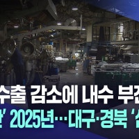 생산·수출 감소에 내수 부진 '대구·경북 3중고'···암울한 2025년 경...