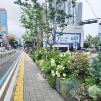 송상현광장, 도시철 가야역·초량역, 동해선 센텀역 BRT 정류장에 도시숲 만든...