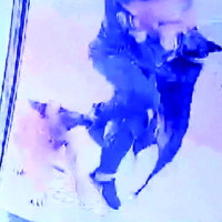 아파트 안까지 쫓아와 사람 물었다…들개 적극 퇴치법 절실