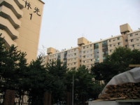임광 사진 5
