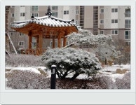충청남도 아산시 배방읍 배방자이 아파트 