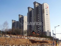 경기도 안성시 공도읍 금호어울림3단지 아파트 