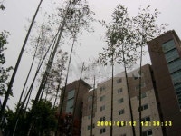 충청남도 천안시 동남구 용곡동 용곡마을동일하이빌1단지 아파트 