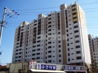 경기도 안성시 금산동 삼부 아파트 
