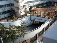 세종보라 사진 2