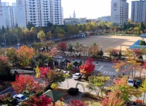 경기도 고양시 일산서구 주엽동 강선14단지두산 아파트 
