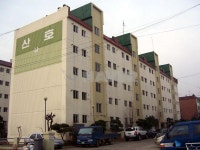 산호 사진 1