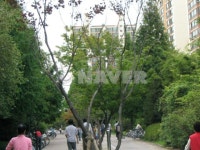 경기도 고양시 일산서구 주엽동 강선14단지두산 아파트 