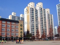 경기도 수원시 장안구 정자동 꽃뫼노을마을대동 아파트 