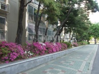 부산시 연제구 거제동 거제롯데캐슬 아파트 