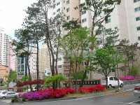 충청남도 천안시 동남구 신방동 신방대주피오레 아파트 