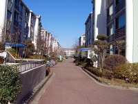 경기도 고양시 일산동구 정발산동 양지건영5단지 아파트 