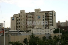 경기도 수원시 장안구 정자동 신미주 아파트 