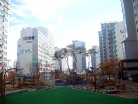 경기도 파주시 동패동 책향기마을11단지신동아파밀리에 아파트 