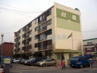 산호 사진 2