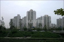 경기도 수원시 장안구 정자동 청솔마을6단지주공 아파트 