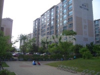 인천시 중구 운서동 영종금호베스트빌2단지 아파트 