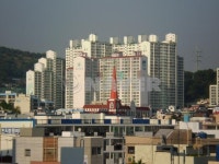 부산시 부산진구 연지동 유림노르웨이숲 아파트 
