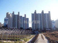 경기도 수원시 권선구 금곡동 일신건영 아파트 